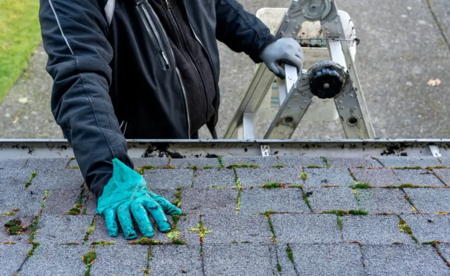 Jak usunąć mech z dachu? Skuteczny poradnik DIY i profesjonalny