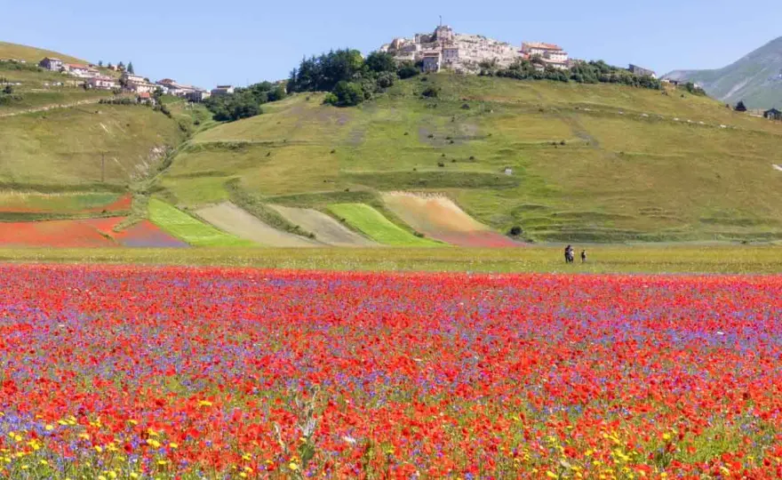 Castelluccio di Norcia - Guida completa per una visita perfetta