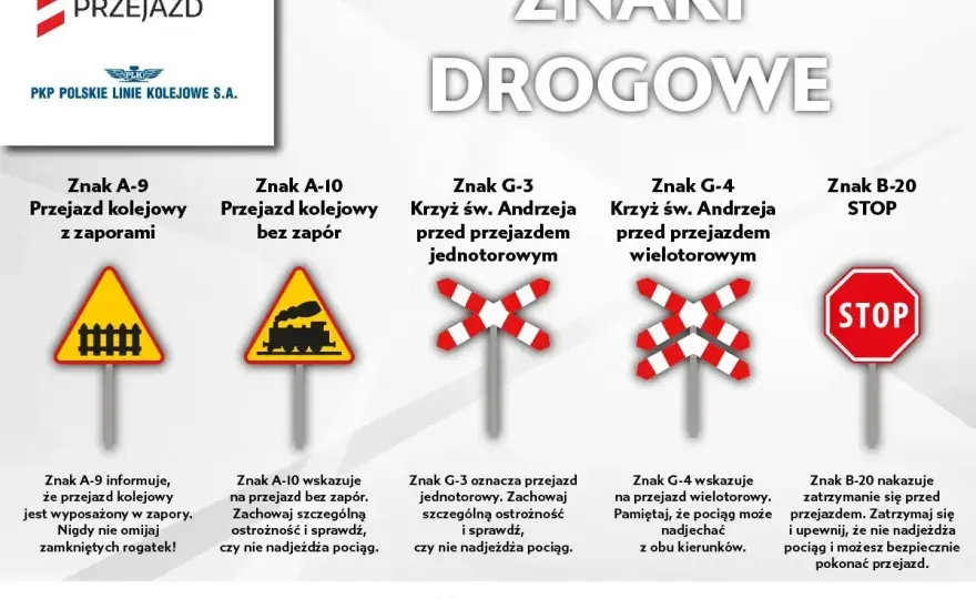 SOK może zatrzymać auto? Uprawnienia i kary na przejazdach