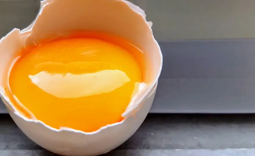 Białko z jaj - Kiedy wybrać egg protein? Poradnik