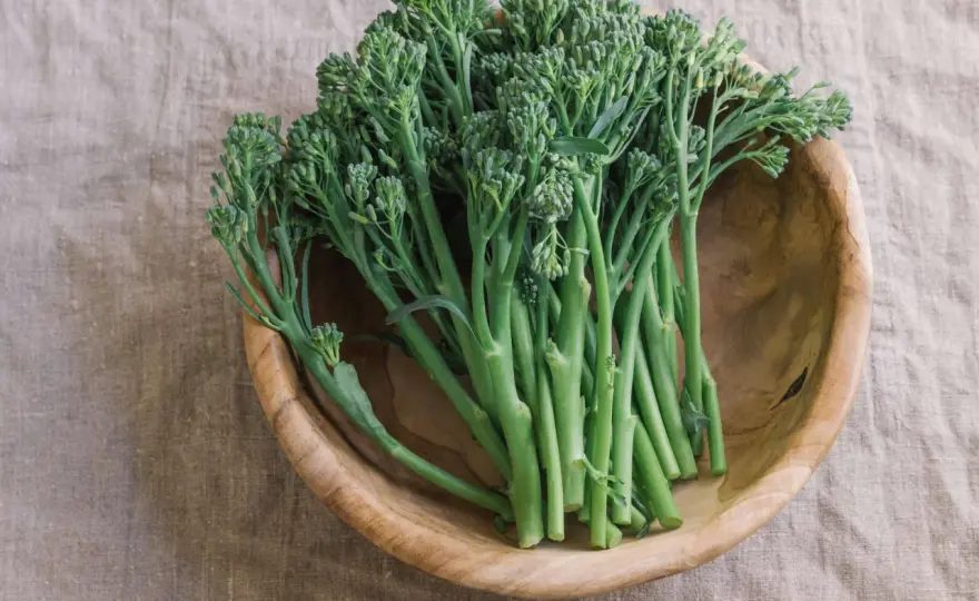 Wilder Brokkoli - So gelingen Stängelkohl und Broccolini perfekt