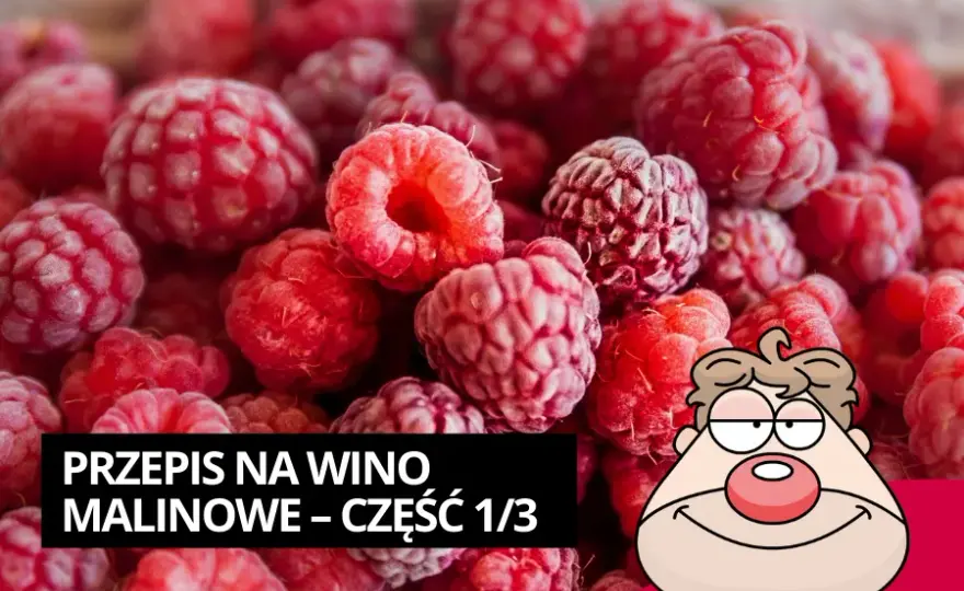 Jak zrobić wino z malin - prosty przepis na pyszne wino domowe