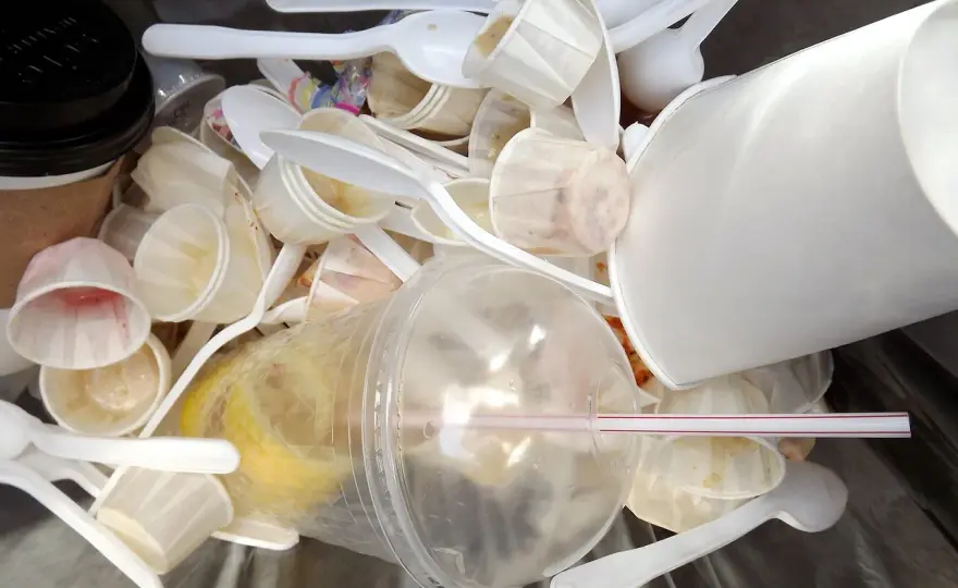 Ciche Zanieczyszczenie: Jak Mikroplastik Zatruwa Naszą Planetę i Co Możemy Zrobić?