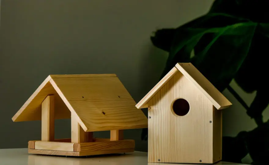 Karmnik dla ptaków DIY - Zbuduj solidny i bezpieczny model!