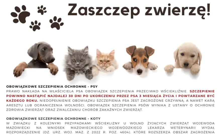 Brak szczepień psa a kodeks wykroczeń: kary i obowiązki właścicieli
