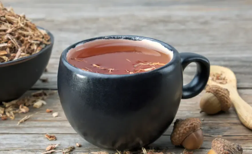 Kora dębu na dziąsła - Jak przygotować odwar i kiedy naprawdę pomaga?