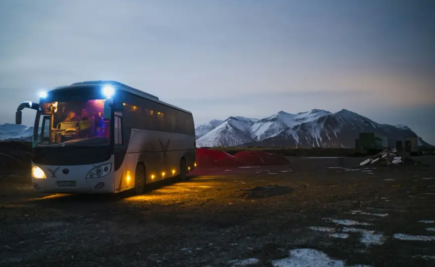 Mat Bus czy MAT-BUS? Znajdź swój przystanek bez pomyłek!