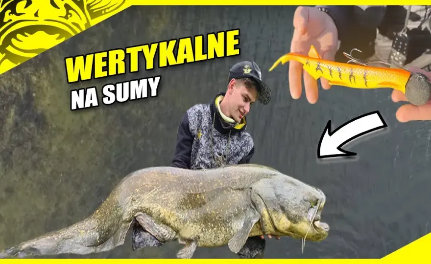 Przynęta na suma: Jak przechytrzyć "wąsatego króla"? Poradnik