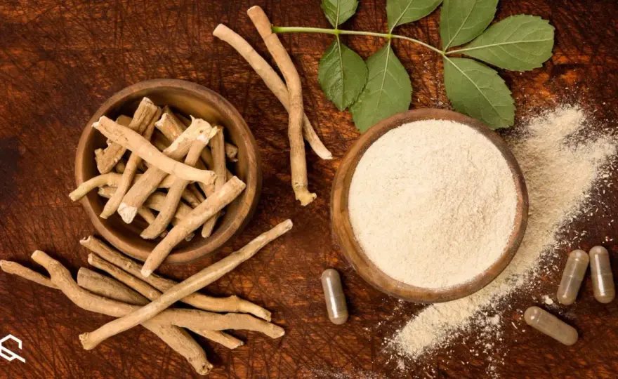 Ashwagandha - Verità su stress, sonno e sicurezza