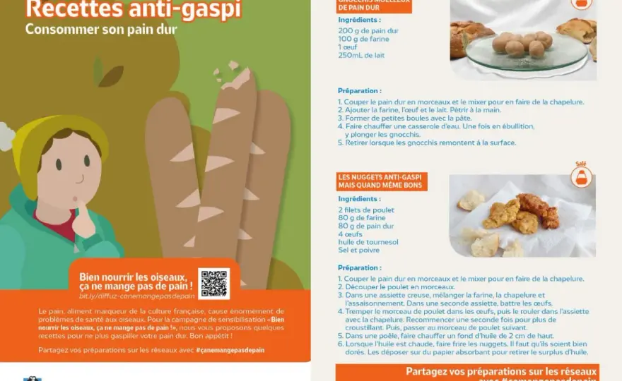 Pain dur - Ne le jetez plus! Recettes et astuces anti-gaspi