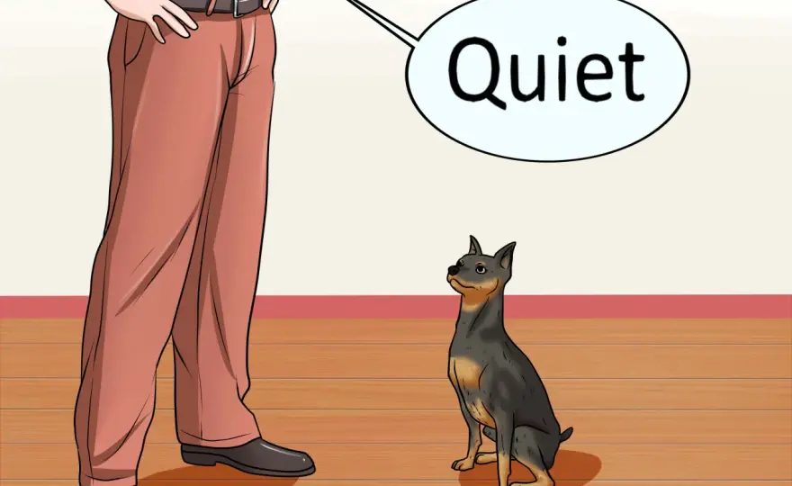 Wenn dein Hund dich anbellt - so reagierst du richtig
