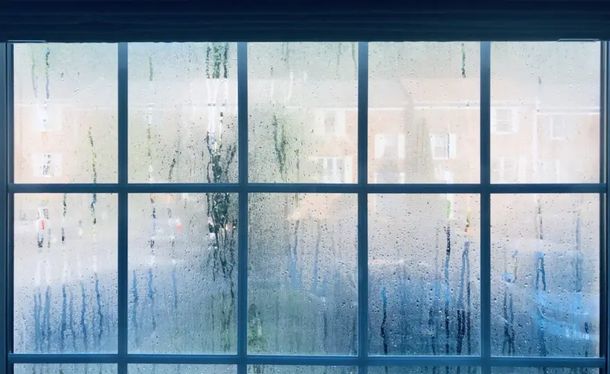 Mokre okna rano? Poznaj przyczyny i raz na zawsze rozwiąż problem!