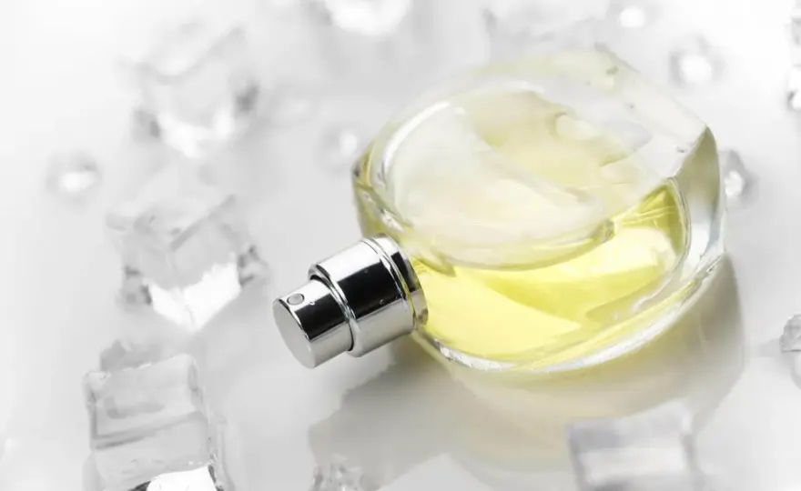 Szyprowy zapach - Co go wyróżnia i jak wybrać idealne perfumy?