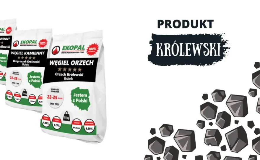 Tani ekogroszek z dostawą: Jak wybrać najlepszą ofertę?