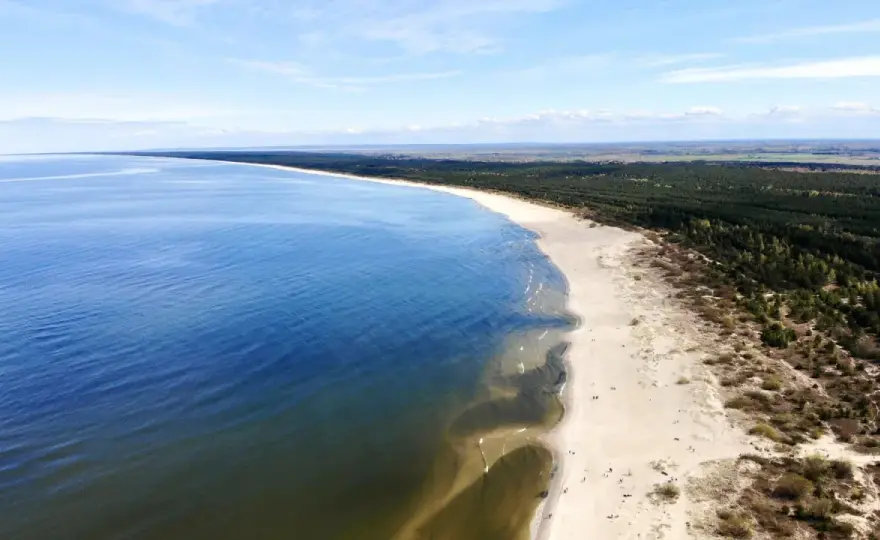 Plaża w Mikoszewie - Przewodnik dla szukających natury