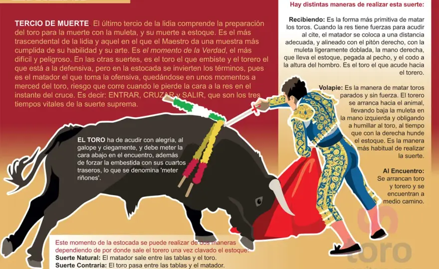 A toro pasado - Significado, origen y uso correcto
