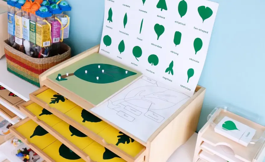 Montessori - Qué es, cómo aplicarlo y cómo saber si es real
