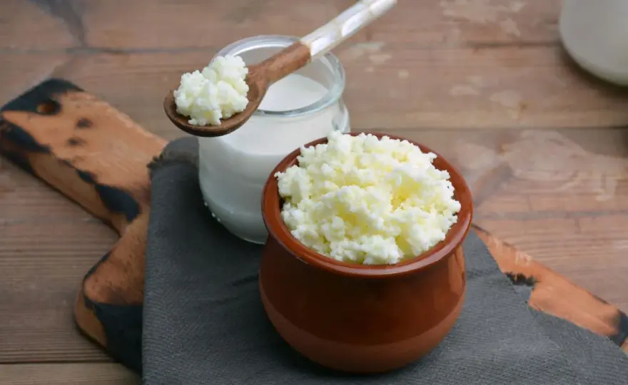 Kefir di latte - come sceglierlo e prepararlo in casa