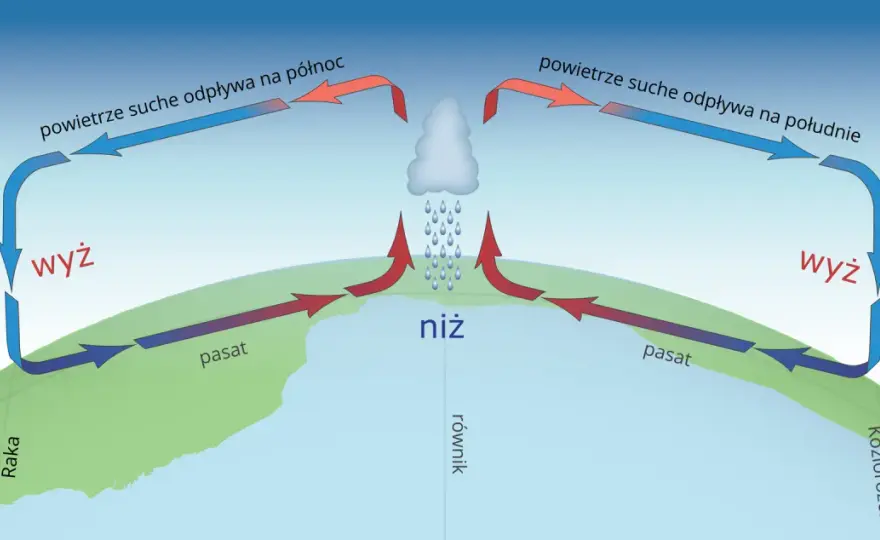 Wiatr - jak i dlaczego powstaje? Wskazówki nad wodę