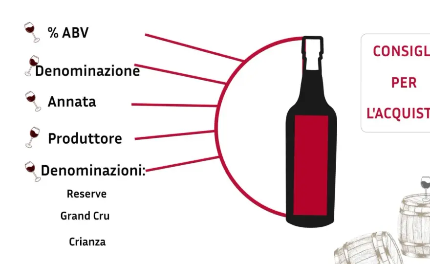 Cabernet in Italia - La guida definitiva per capirlo davvero