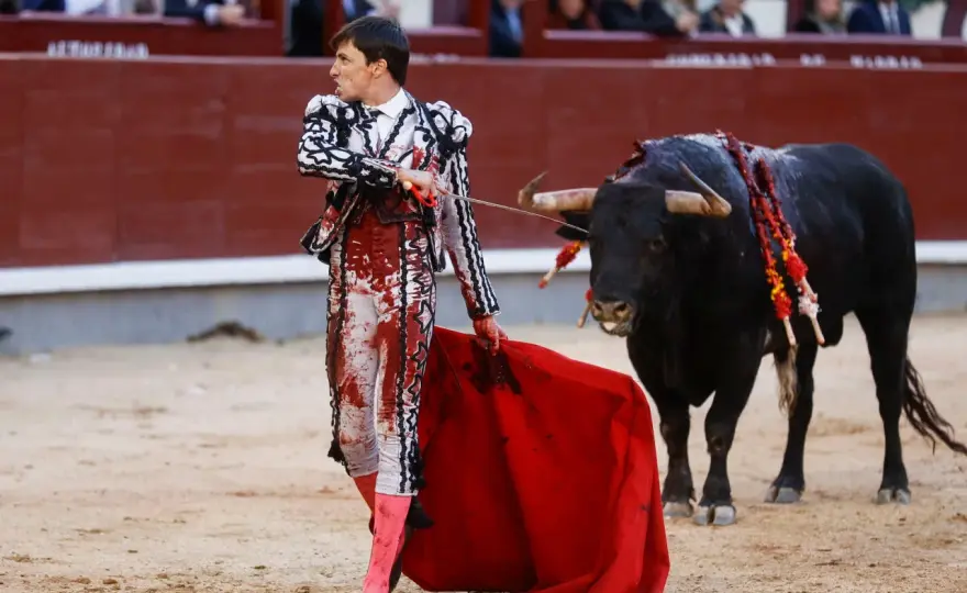 Tauromaquia en España - ¿Qué es y cómo entenderla hoy?
