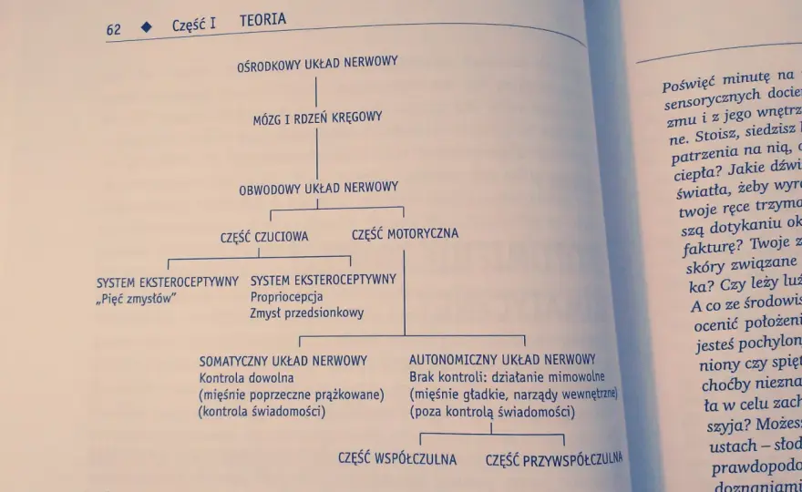 Trauma: Ciało pamięta - Zmień perspektywę, zrozum siebie