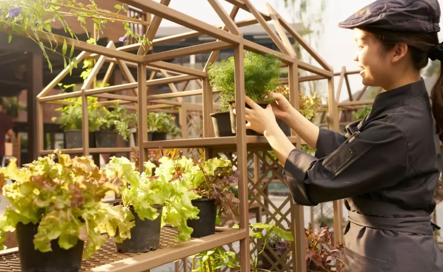 Farm-to-Table - worauf es beim Einkauf wirklich ankommt