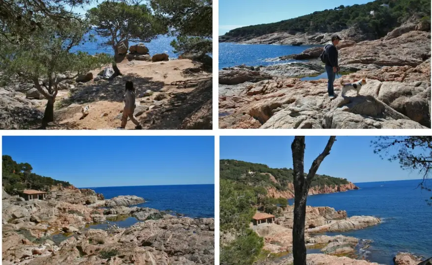 Camí de Ronda Tamariu - Guía para no perderte nada