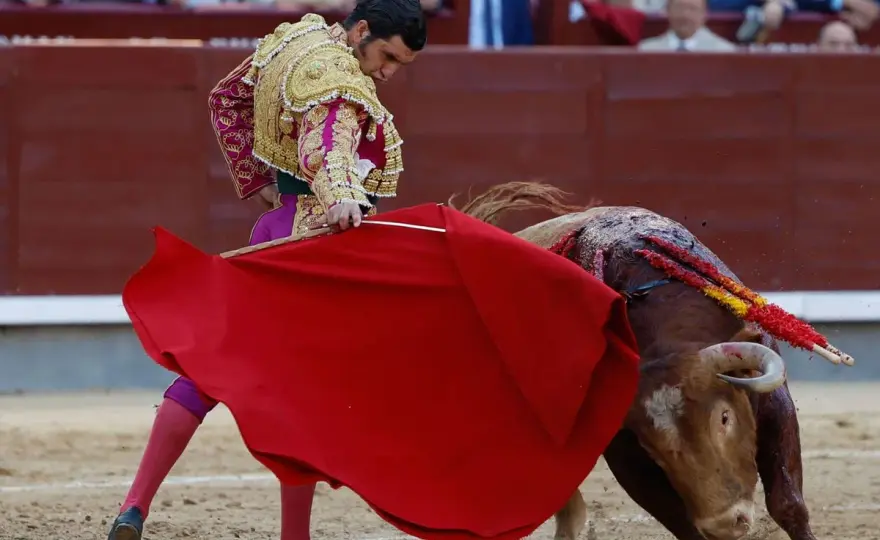 Descabello - Clave para un cierre limpio en la lidia