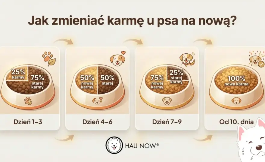 Zmiana karmy u psa - Zrób to dobrze, bez sensacji!