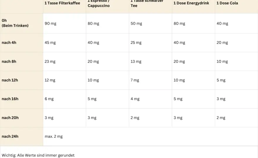Wie viel Koffein pro Tag? Dein Guide für Kaffee, Tee & Co.