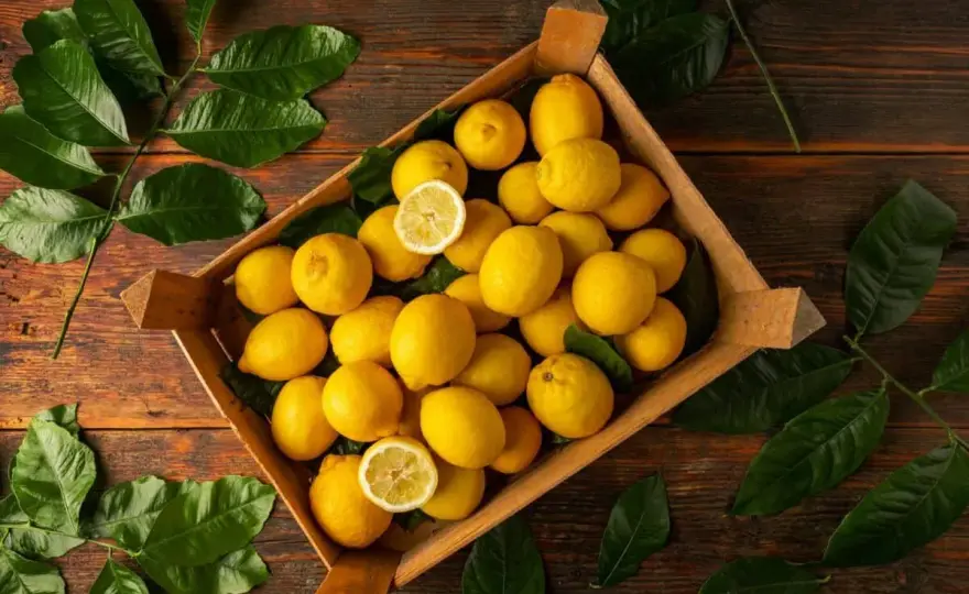 Trop de citrons jaunes? Gardez-les frais et utilisez-les tous!