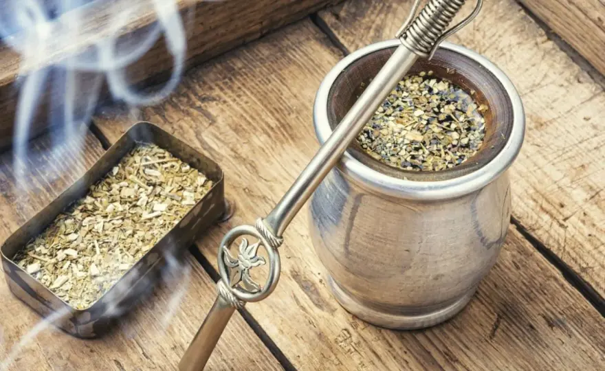 Jak smakuje yerba mate? Przewodnik dla początkujących