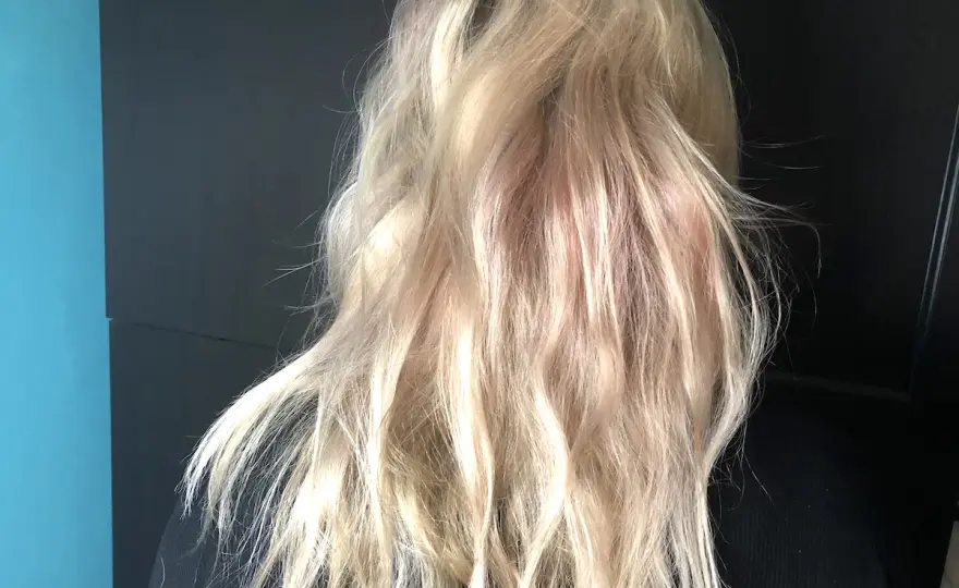Björn Axén hårfärg - Välj rätt: Color Seal eller Cool Blonde?