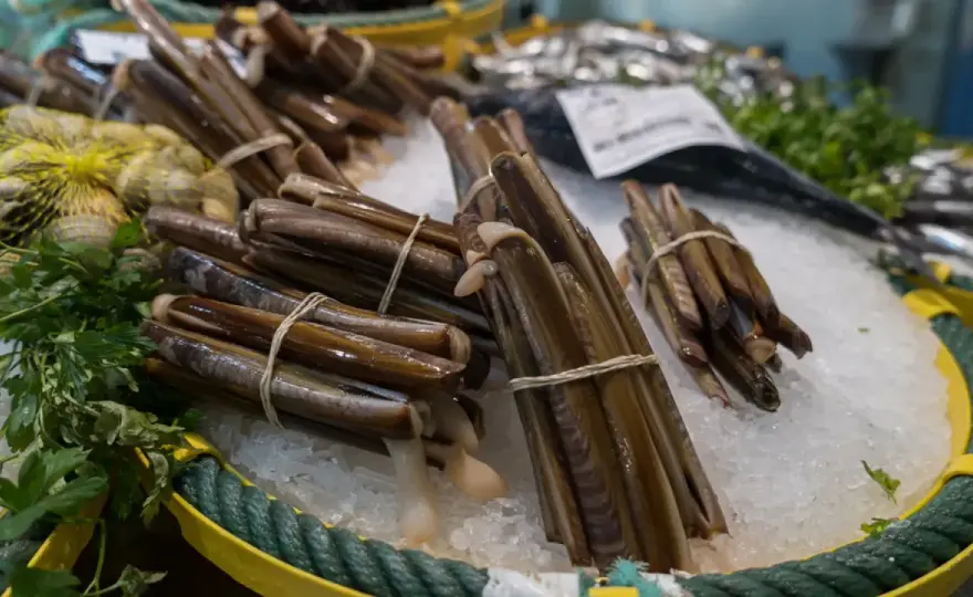 Navajas con algas - cómo limpiarlas y cocinarlas sin arena
