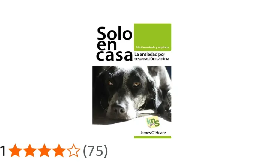 Perro solo en casa - Adiós ansiedad por separación