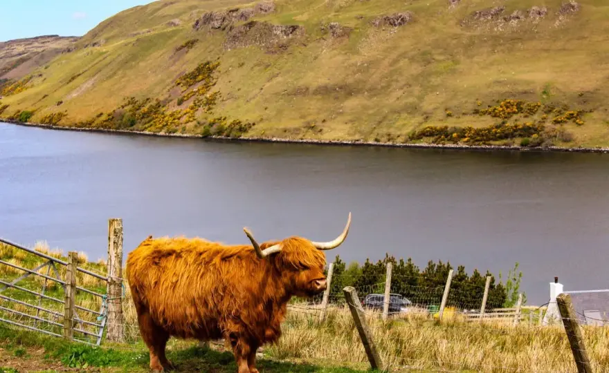 Wetter in Schottland im September - so planst du die Reise richtig