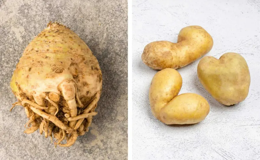 Potatis i antiinflammatorisk kost - vad som faktiskt spelar roll