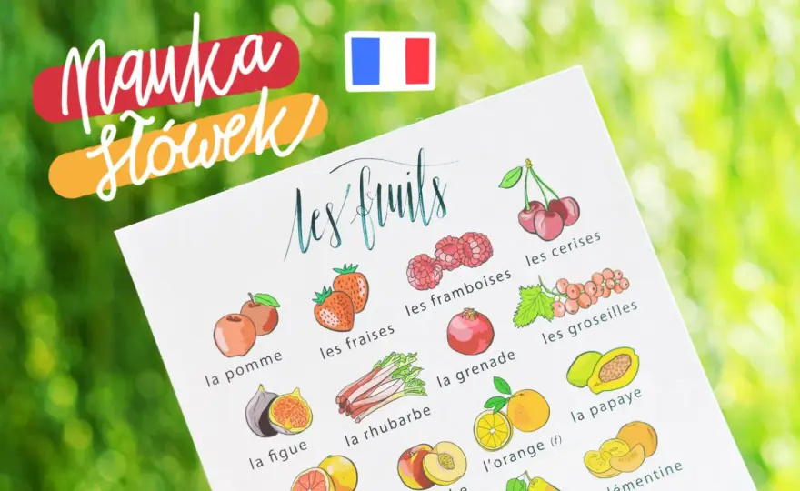 Teksty po francusku: Jak czytać i uczyć się efektywnie?