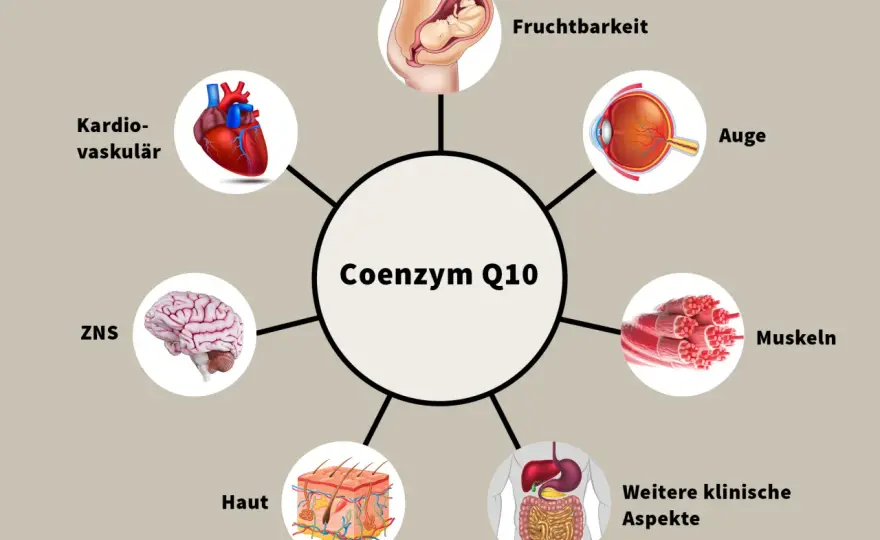 Coenzym-Q10-Mangel - woran Sie ihn erkennen und was hilft