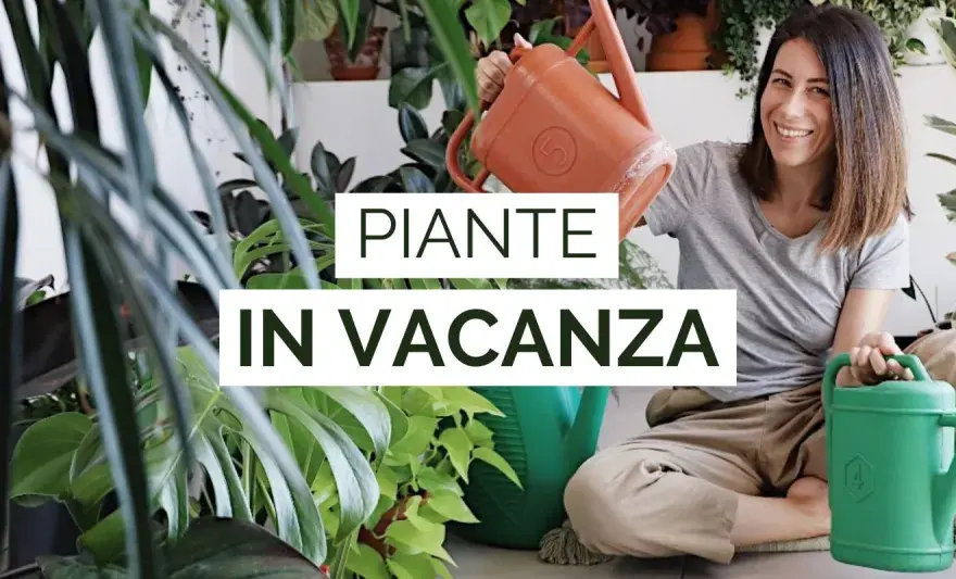 Come innaffiare le piante in vacanza senza rischi