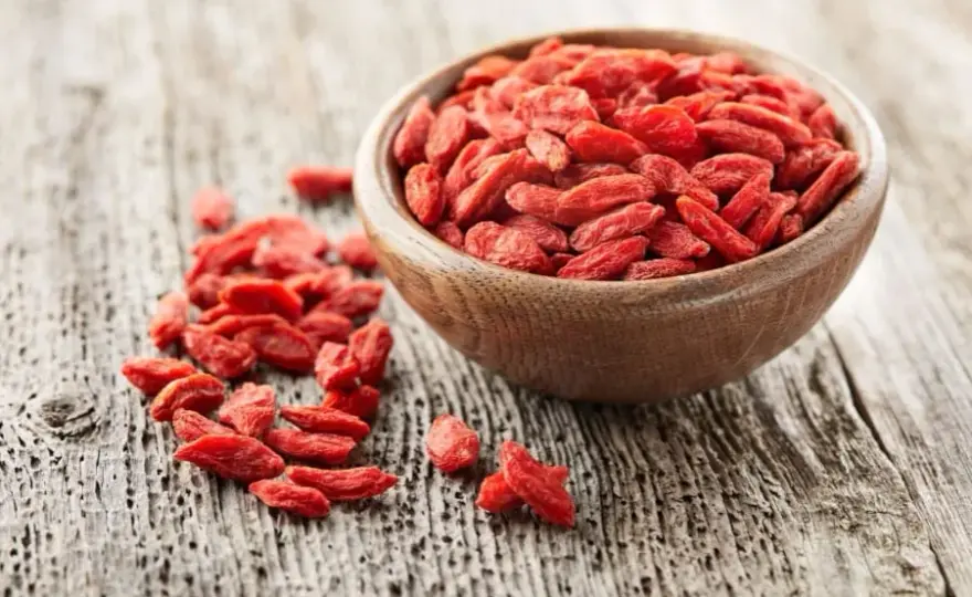 Jak i kiedy przycinać jagody goji? Poradnik do obfitych zbiorów