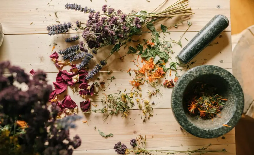 Homeopatia: Recepta czy bez? Poznaj zasady i miejsca zakupu!