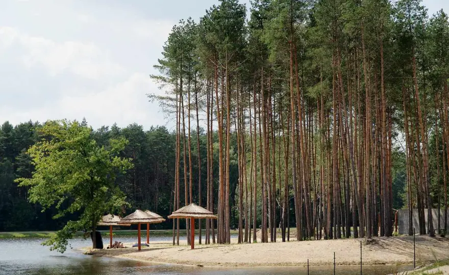 Krasnobród atrakcje dla dzieci - Jak zaplanować udany dzień?