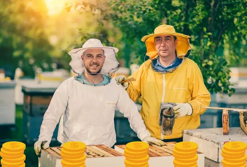 Ile można zarobić na miodzie? Realna analiza zysków z własnej pasieki
