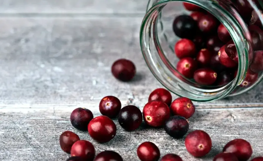 Cranberries in der Schwangerschaft - Was ist sicher?