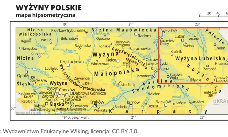 Co uprawia się na wyżynie lubelskiej? Odkryj zaskakujące rośliny