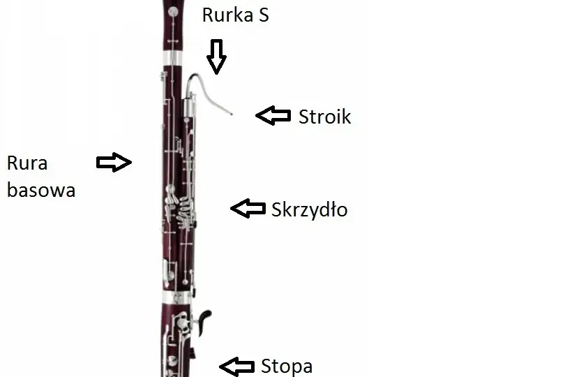 Fagot - instrument orkiestralny, historia, budowa, cena, nauka gry