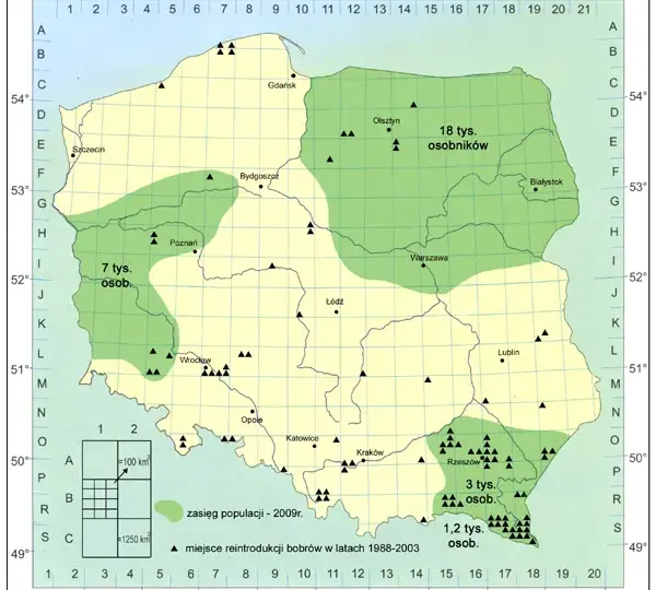 Gdzie leżą Suwałki? Odkryj ich wyjątkowe położenie w Polsce