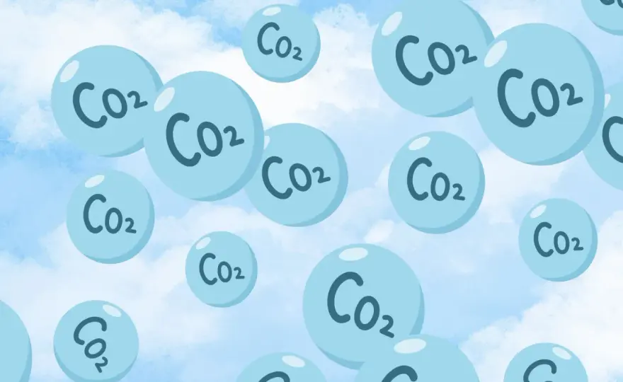 Wykorzystanie CO2 w energetyce - Czy to ma sens w Polsce?